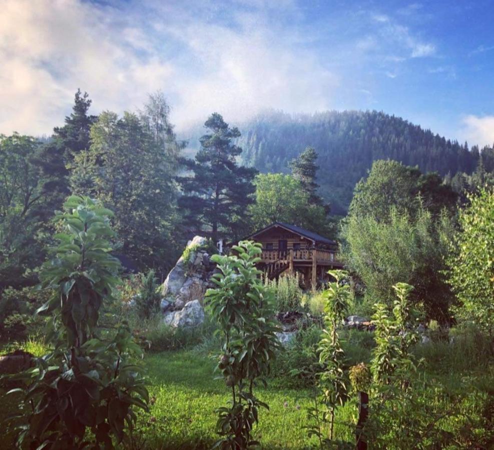 Casa Baciu Hotell Fundu Moldovei Exteriör bild