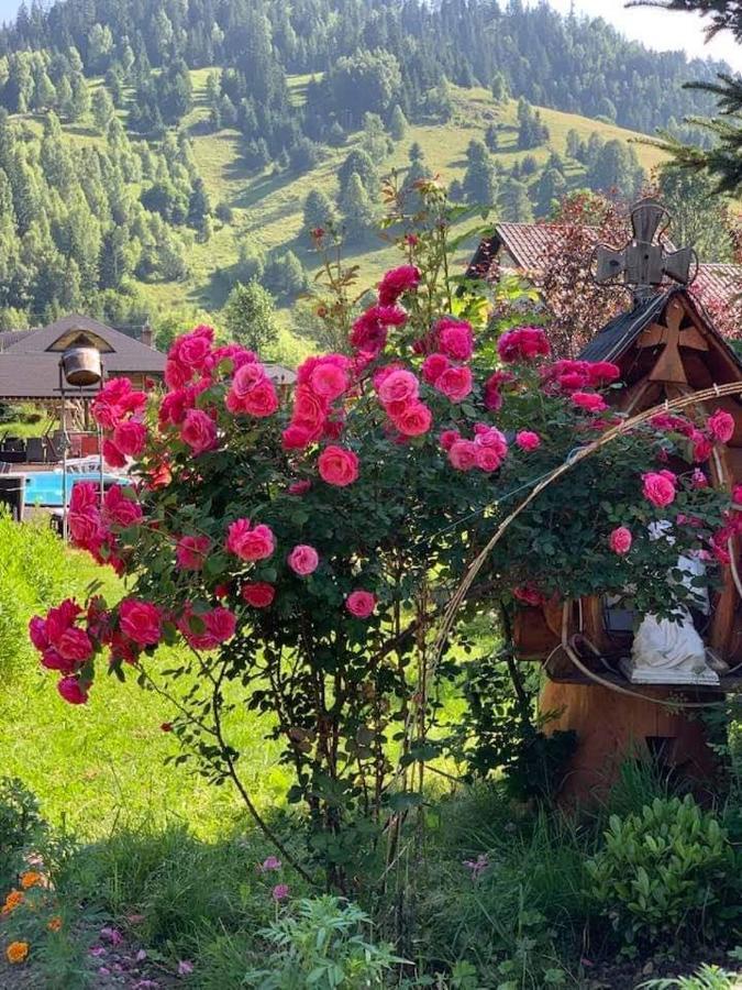Casa Baciu Hotell Fundu Moldovei Exteriör bild